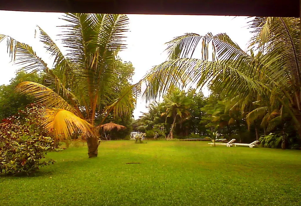 Mangrove Villa - Bentota River-1